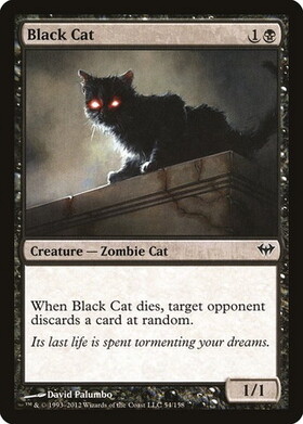 (DKA)Black Cat/黒猫