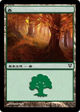 (AVR)森(243)/FOREST