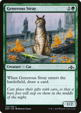 (GRN)Generous Stray/気前のいい野良猫