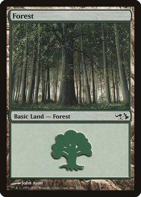 (DD1)Forest(30)/森