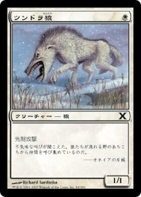 (10E)ツンドラ狼(F)/TUNDRA WOLVES