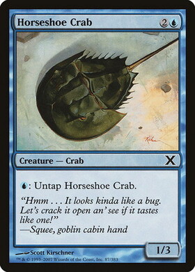 (10E)Horseshoe Crab(F)/カブトガニ