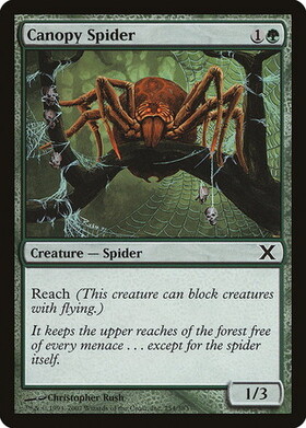 (10E)Canopy Spider/梢の蜘蛛