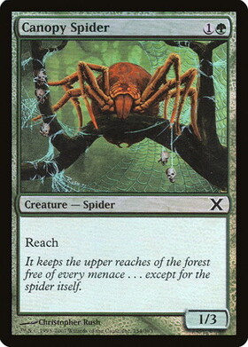 (10E)Canopy Spider(F)/梢の蜘蛛