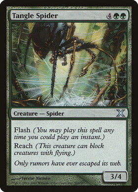 (10E)Tangle Spider/絡み森の蜘蛛