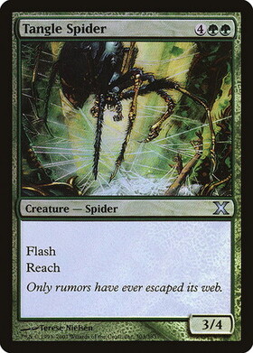 (10E)Tangle Spider(F)/絡み森の蜘蛛
