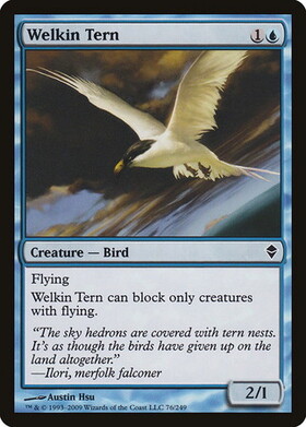 (ZEN)Welkin Tern(F)/天空のアジサシ