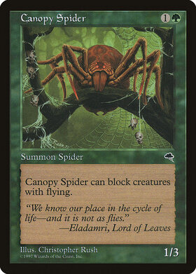 (TMP)Canopy Spider/梢の蜘蛛