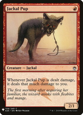 (A25)Jackal Pup(LIST仕様)/ジャッカルの仔