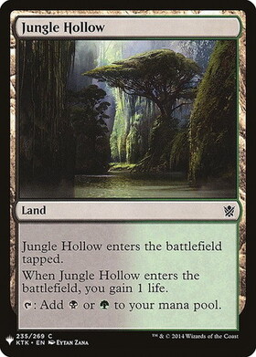 (MB1)Jungle Hollow/ジャングルのうろ穴