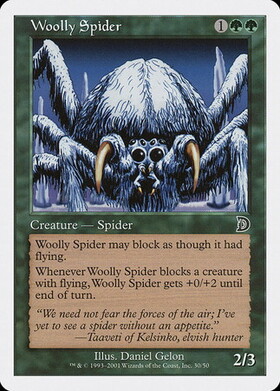 (DKM)Woolly Spider/(未訳)