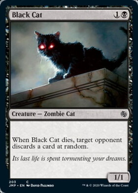 (JMP)Black Cat/黒猫