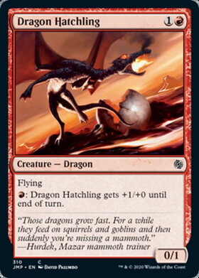 (JMP)Dragon Hatchling/ドラゴンの雛