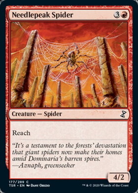 (TSR)Needlepeak Spider/針先の蜘蛛