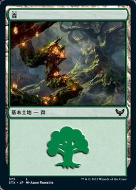 (STX)森(375)/FOREST