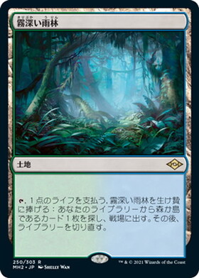 霧深い雨林/MISTY RAINFOREST