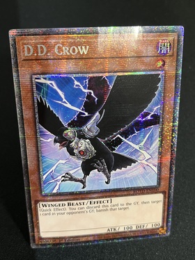 【傷大】D.D. CROW