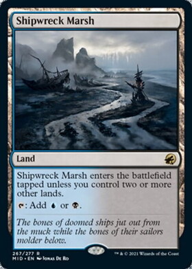 (MID)Shipwreck Marsh/難破船の湿地