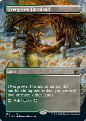 (MID)Overgrown Farmland(ボーダーレス)/草茂る農地