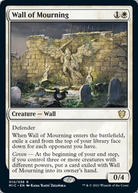 (MIC)Wall of Mourning/哀悼の壁