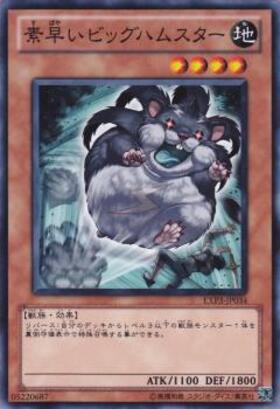 素早いビッグハムスター(高価N) | ノーマル/レア | ドラゴンスター