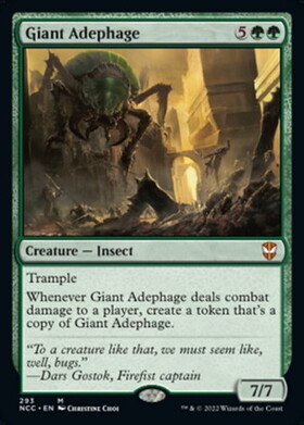 (NCC)Giant Adephage/巨大オサムシ