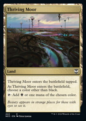 (NCC)Thriving Moor/興隆する湿地帯