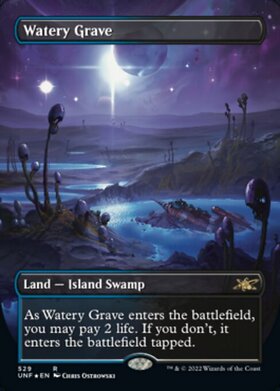 RAV)Watery Grave(F)/湿った墓 | (FOIL)神話レア・レア | ドラゴン 
