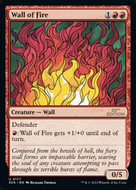 (30A)Wall of Fire(0177)/炎の壁