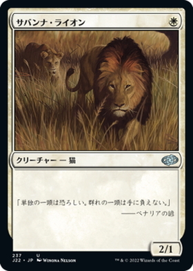 (J22)サバンナ・ライオン/SAVANNAH LIONS