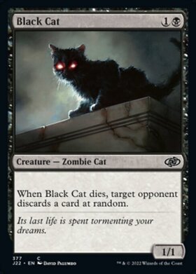 (J22)Black Cat/黒猫