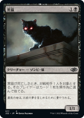 (J22)黒猫/BLACK CAT