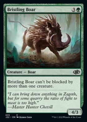 (J22)Bristling Boar/逆毛の猪
