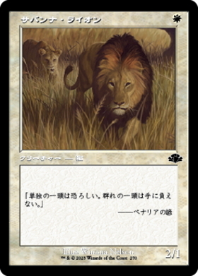 (DMR)サバンナ・ライオン(270)(旧枠)/SAVANNAH LIONS