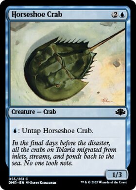 (DMR)Horseshoe Crab/カブトガニ