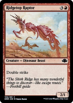 (DMR)Ridgetop Raptor(F)/尾根の頂の猛禽
