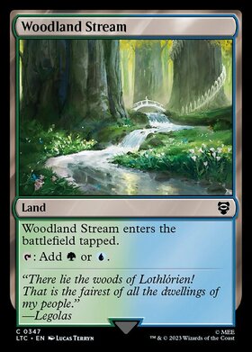 (LTC)Woodland Stream/森林地の小川