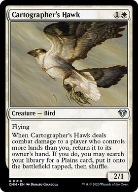 (CMM)Cartographer's Hawk/地図作りの鷹