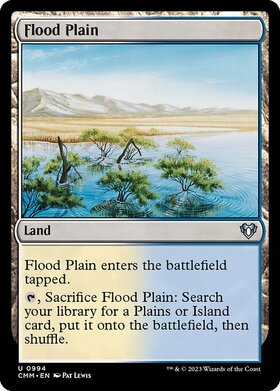 (CMM)Flood Plain/氾濫原