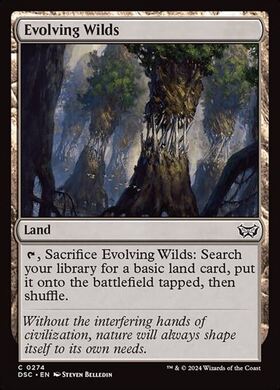 (DSC)Evolving Wilds(0274)/進化する未開地