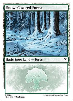 (MB2)Snow-Covered Forest(0120)(白枠)/冠雪の森