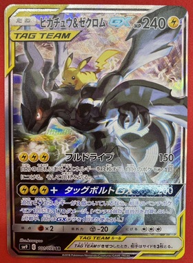 ピカチュウ&ゼクロムGX(101/095 SR)[SA] | SR | ドラゴンスター | ポケモンカード