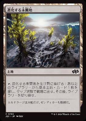 (J25)進化する未開地(0765)/EVOLVING WILDS