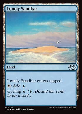 (J25)Lonely Sandbar(0769)/孤立した砂州