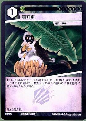 商品検索 | ドラゴンスター | アニマルカードゲーム
