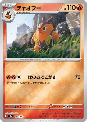 チャオブー(097/086 AR) | AR | ドラゴンスター | ポケモンカード