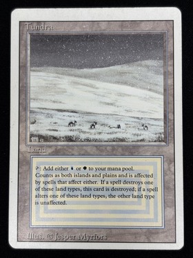 高額商品 商品検索 | ドラゴンスター | マジック：ザ・ギャザリング MTG