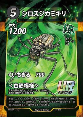 ドラゴンスター】蟲神器日本最大級の通販サイト