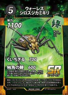 ブースターパック 第7弾 商品検索 | ドラゴンスター | 蟲神器