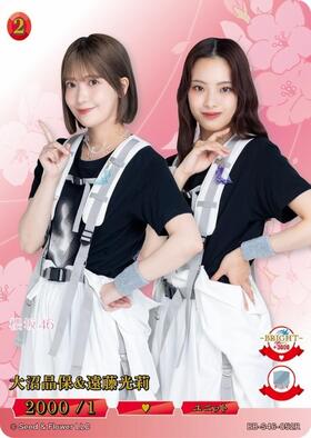櫻坂46 ビルディバイド ユニットカード 遠藤光莉 SC 遠藤光莉(BB-S46-146SC) | SC | ドラゴンスター | ビルディバイド